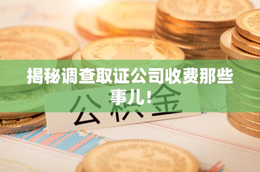 同安揭秘调查取证公司收费那些事儿！