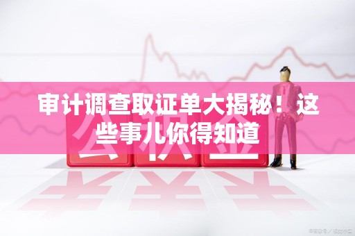 同安审计调查取证单大揭秘！这些事儿你得知道