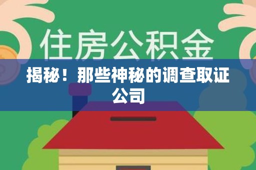 同安揭秘！那些神秘的调查取证公司