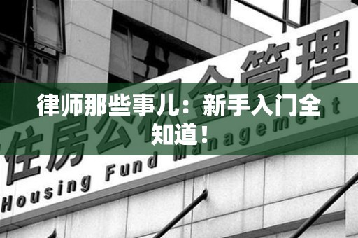 同安律师那些事儿：新手入门全知道！