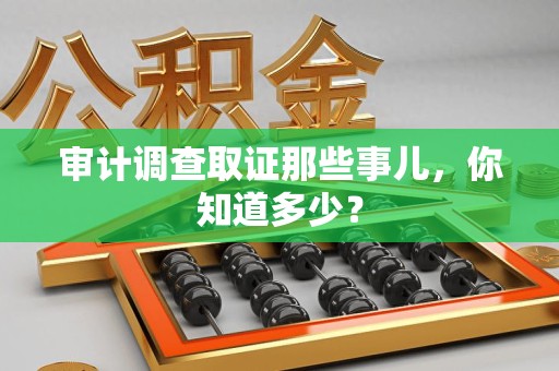 同安审计调查取证那些事儿，你知道多少？