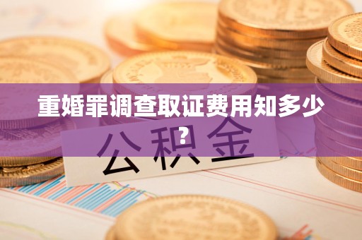 同安重婚罪调查取证费用知多少？