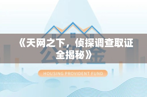 同安《天网之下，侦探调查取证全揭秘》
