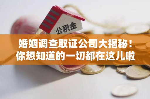 同安婚姻调查取证公司大揭秘！你想知道的一切都在这儿啦😉