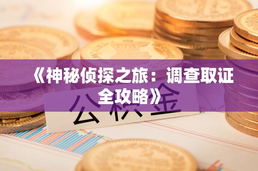 同安《神秘侦探之旅：调查取证全攻略》