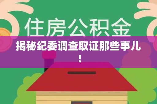 同安揭秘纪委调查取证那些事儿！