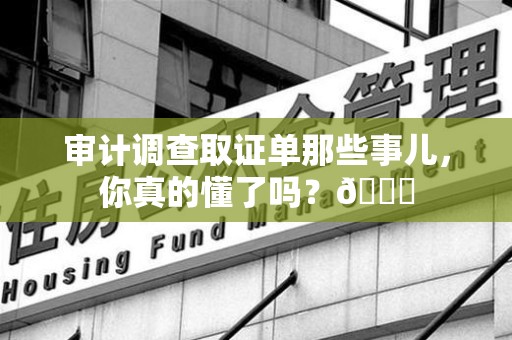 同安审计调查取证单那些事儿，你真的懂了吗？😎