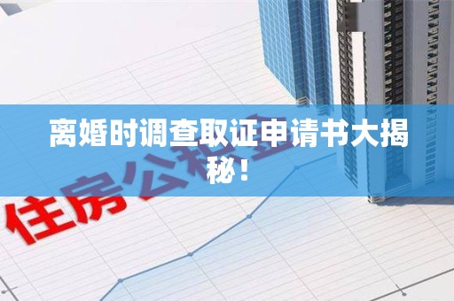 同安离婚时调查取证申请书大揭秘！